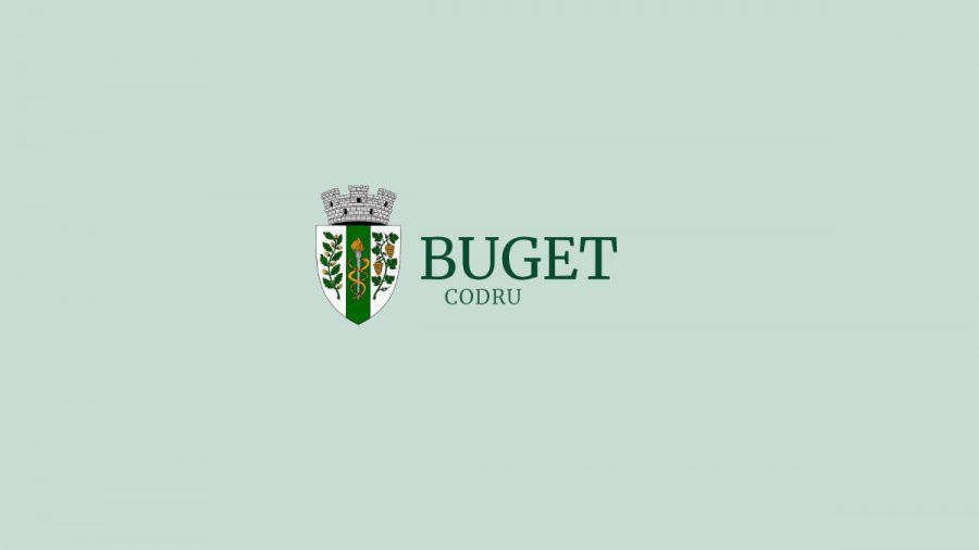 Executarea Bugetului pentru anul 2017