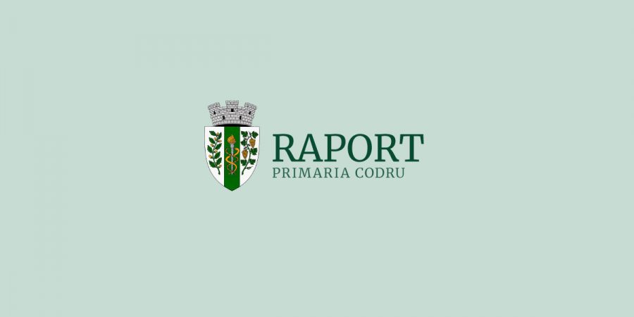 RAPORT! privind transparența în procesul decizional în cadrul Administrației Publice Locale pentru anul 2020